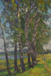 Birches  (oil on hardboard 50×70 1960-ies)