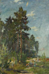 Ural. Pines (oil on cardboard 50×70 1950-ies)